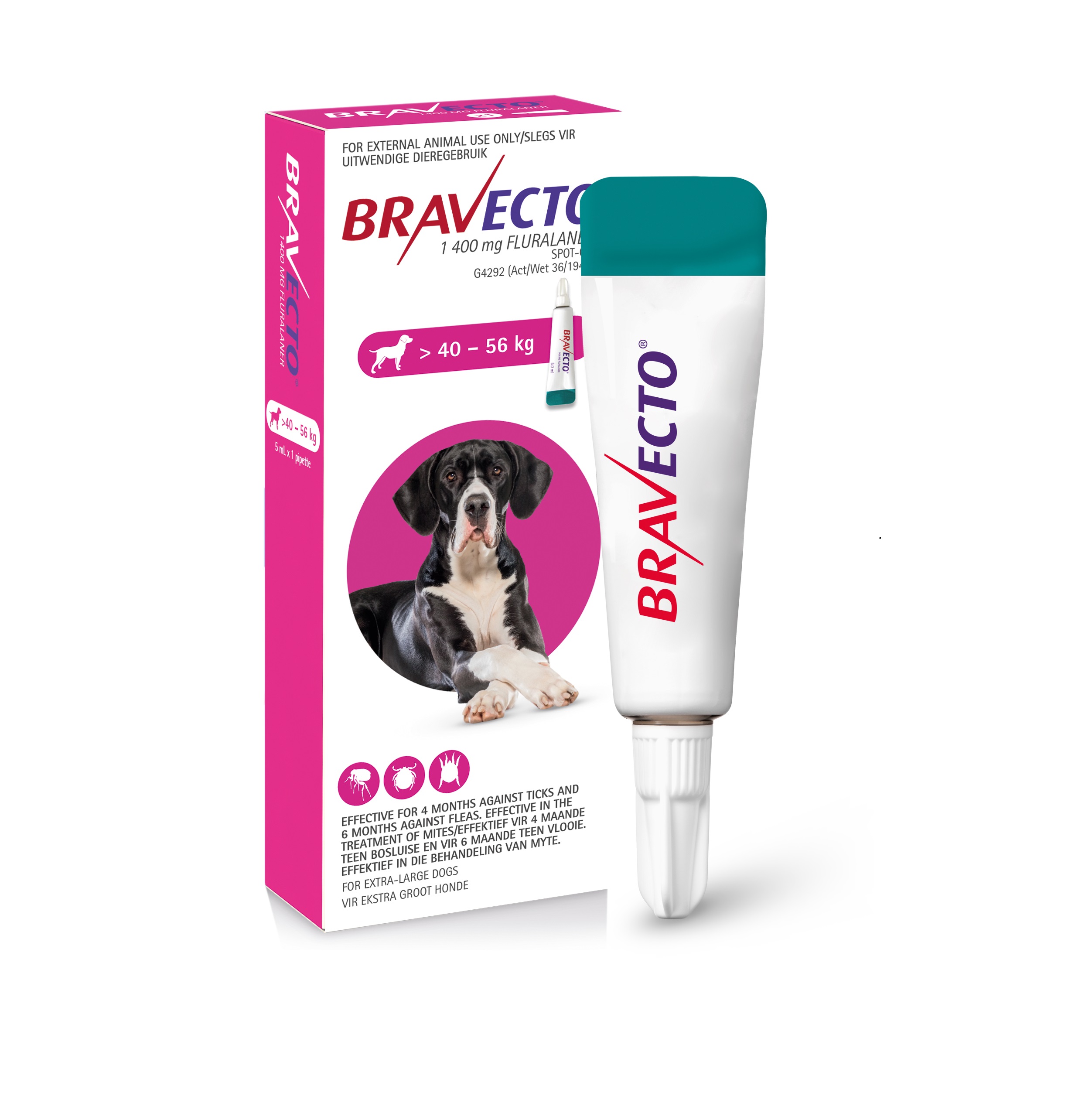 bravecto-spot-on-40-to-56kg